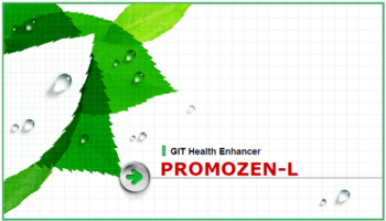 Marketing Information for Promozen